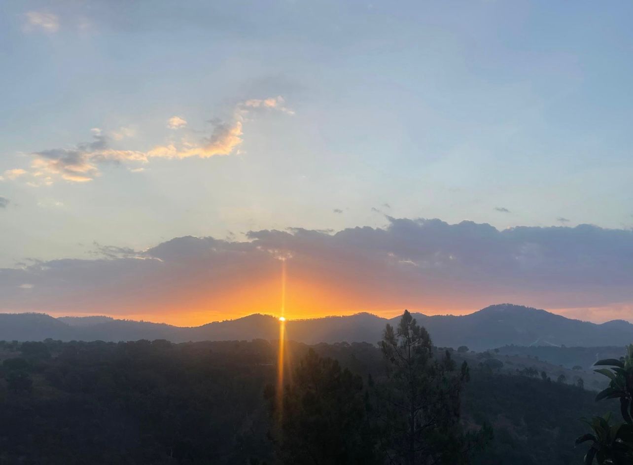 Individual- & Gruppenreisen