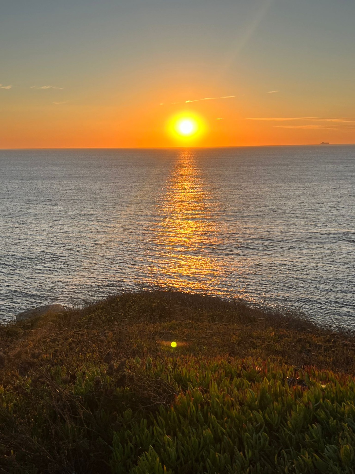 Individual- & Group travel